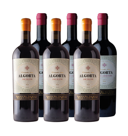 WINEMAKER SERIES - CAJA MIXTA - THE BLEND & WILD CARMENERE - 6 BOT 750 ML