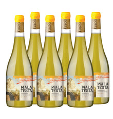 MALA TESTA - CHARDONNAY - 6 BOT 750 ML